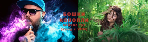 MESCALINE Бородино